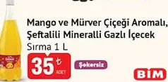SIRMA MANGO VE MÜRVER ÇİÇEĞİ AROMALI ŞEFTALİLİ MİNERALLİ GAZLI İÇECEK 1 L